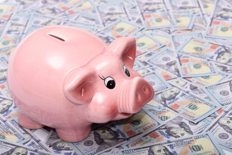 German piggybank with coins and cash representing average German investment portfolio savings