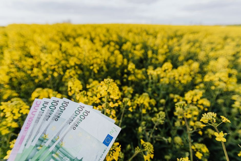 European dividend reinvestment strategy showing compound growth over time